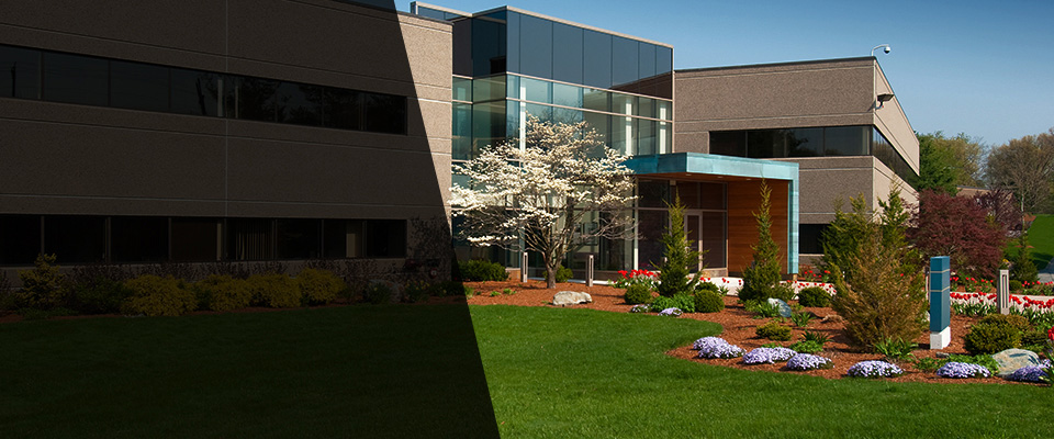 Spanaway Landscapers