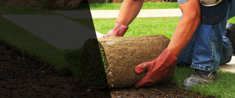 Spanaway Landscapers